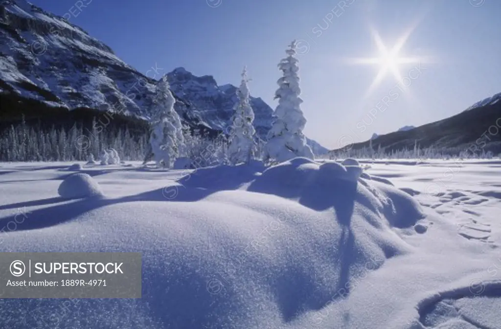 Snow covered landscape, Banff National Park, Alberta, Canada