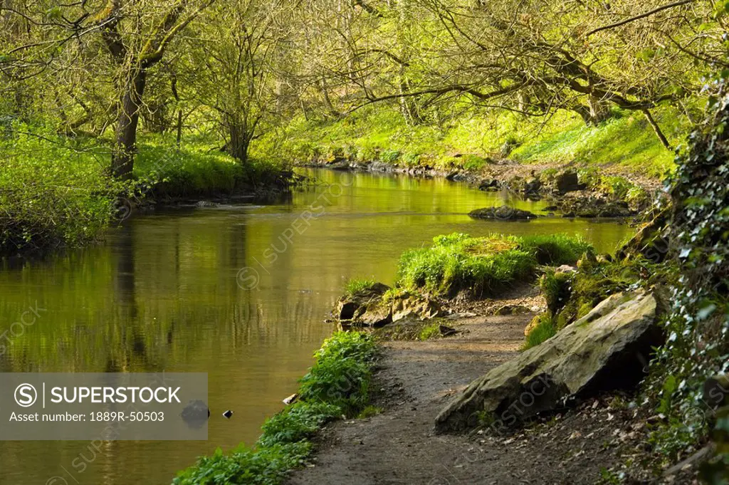 cressbrook, derbyshire, england, river wye in peak district national park