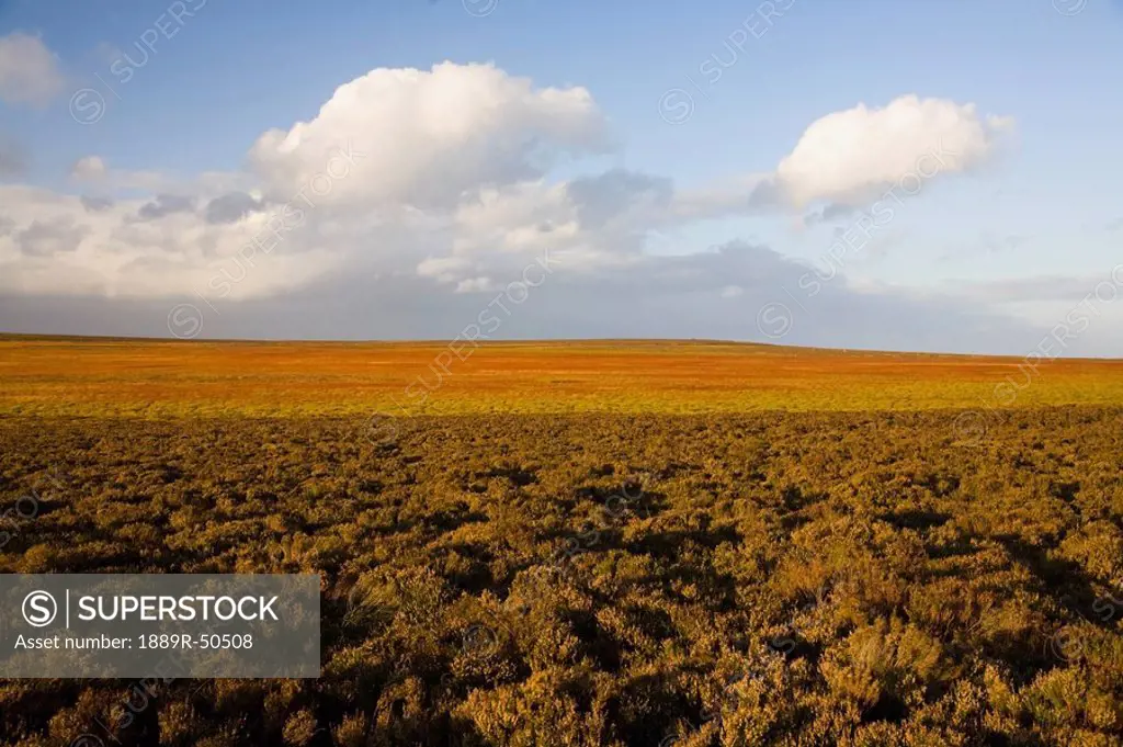 sheffield, south yorkshire, england, flat landscape
