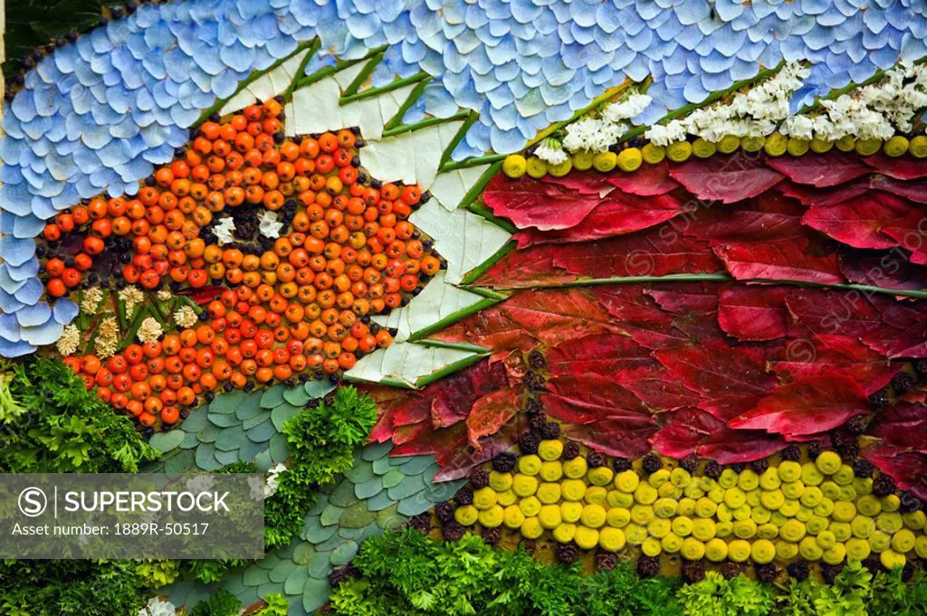 detailed design of a dragon made of berries, moss and petals