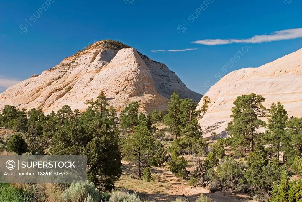 utah, united states of america, petrified sand dunes in grand staircase_escalante national monument