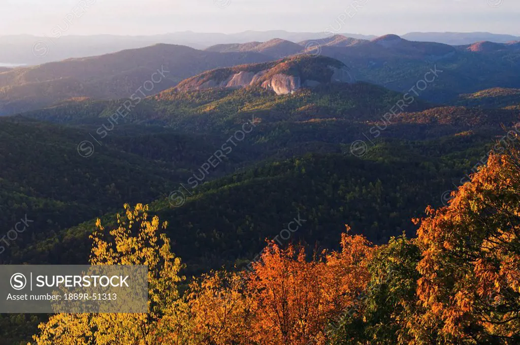 blue ridge parkway, north carolina, united states of america, autumn foliage frames a view of looking glass rock