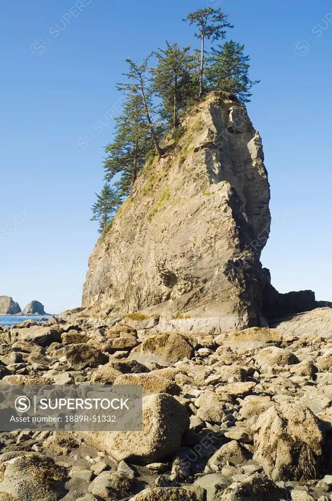 olympic national park, washington, united states of america, low tide at second beach
