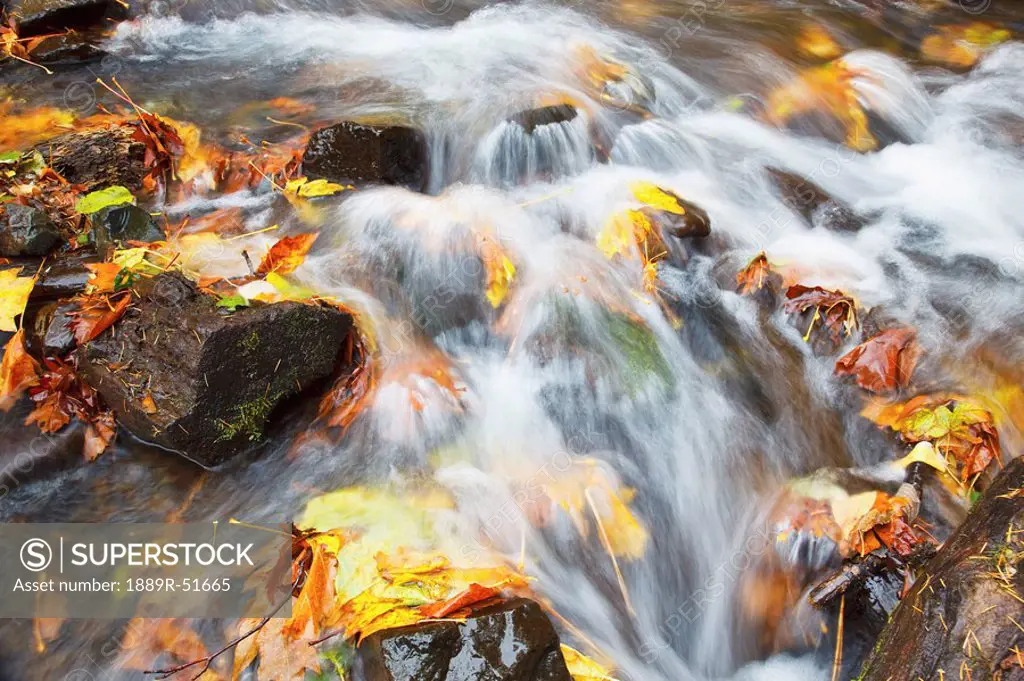 water cascading over the rocks in autumn