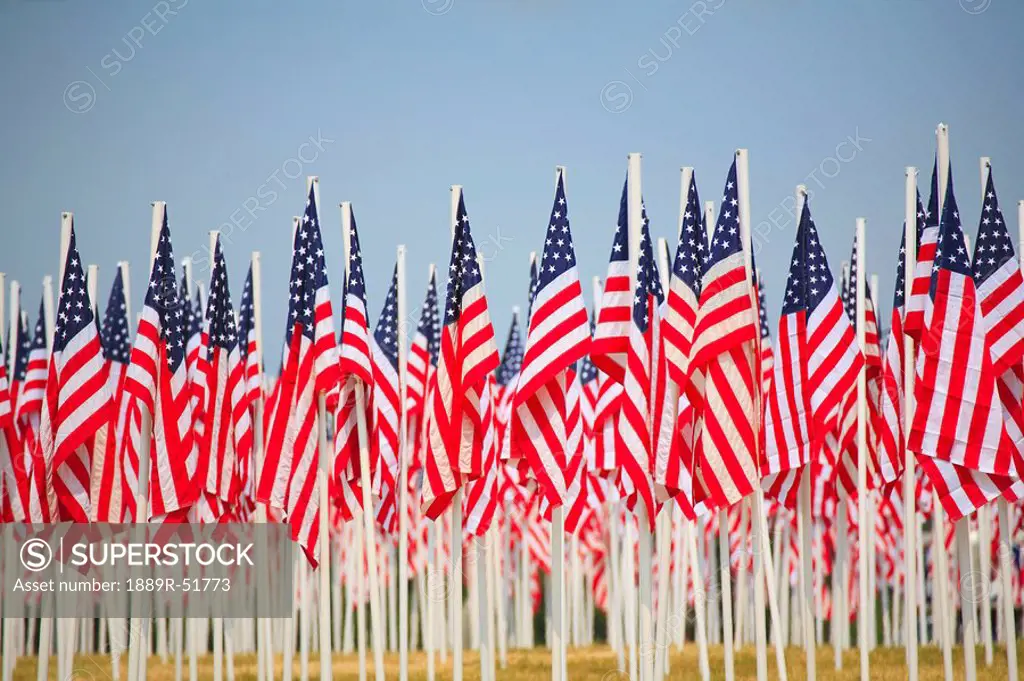 a display of many flags of the united states of america
