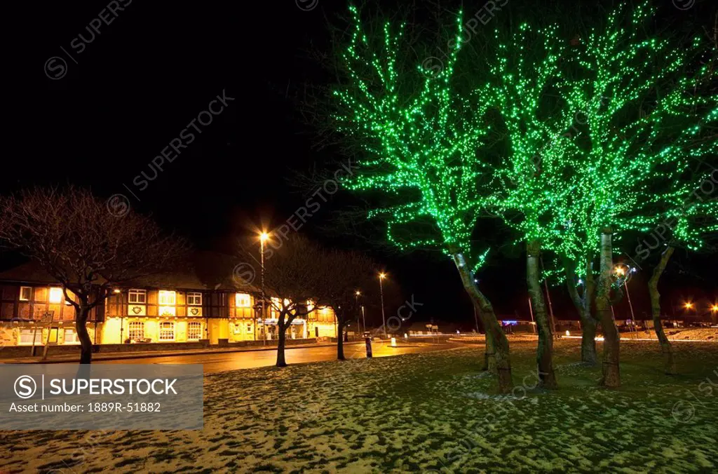 south shields, tyne and wear, england, green lights on the trees and snow on the ground