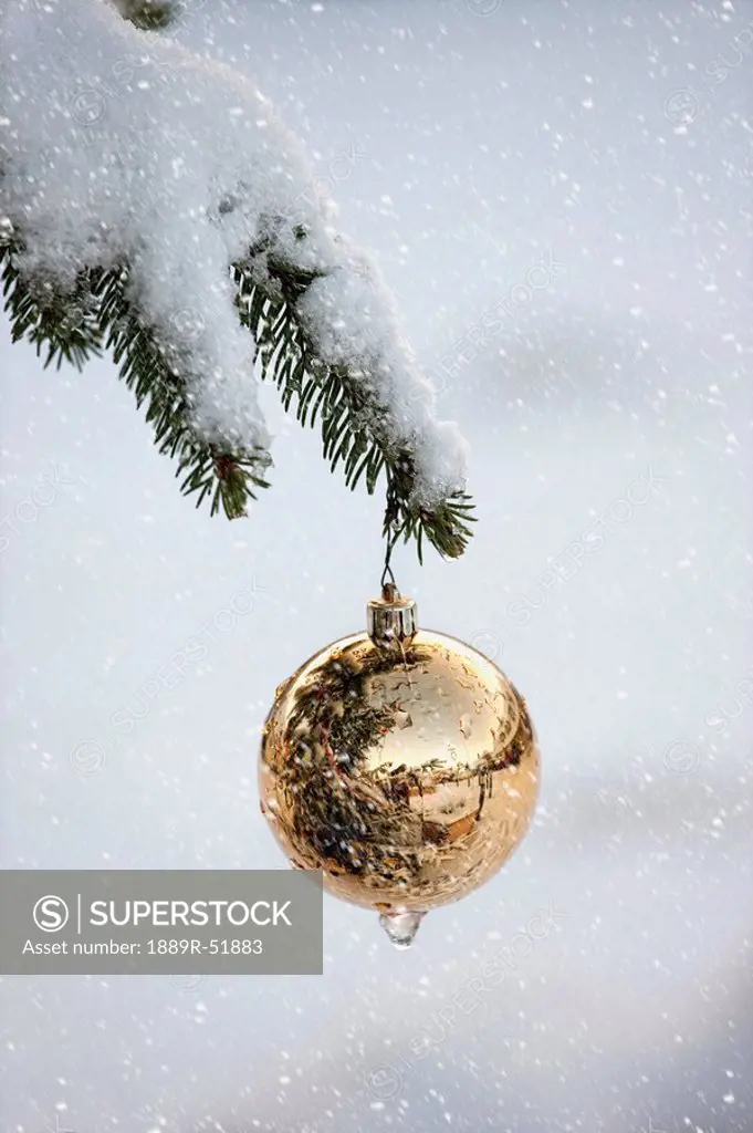 a gold ball ornament hanging from a snow_covered tree branch