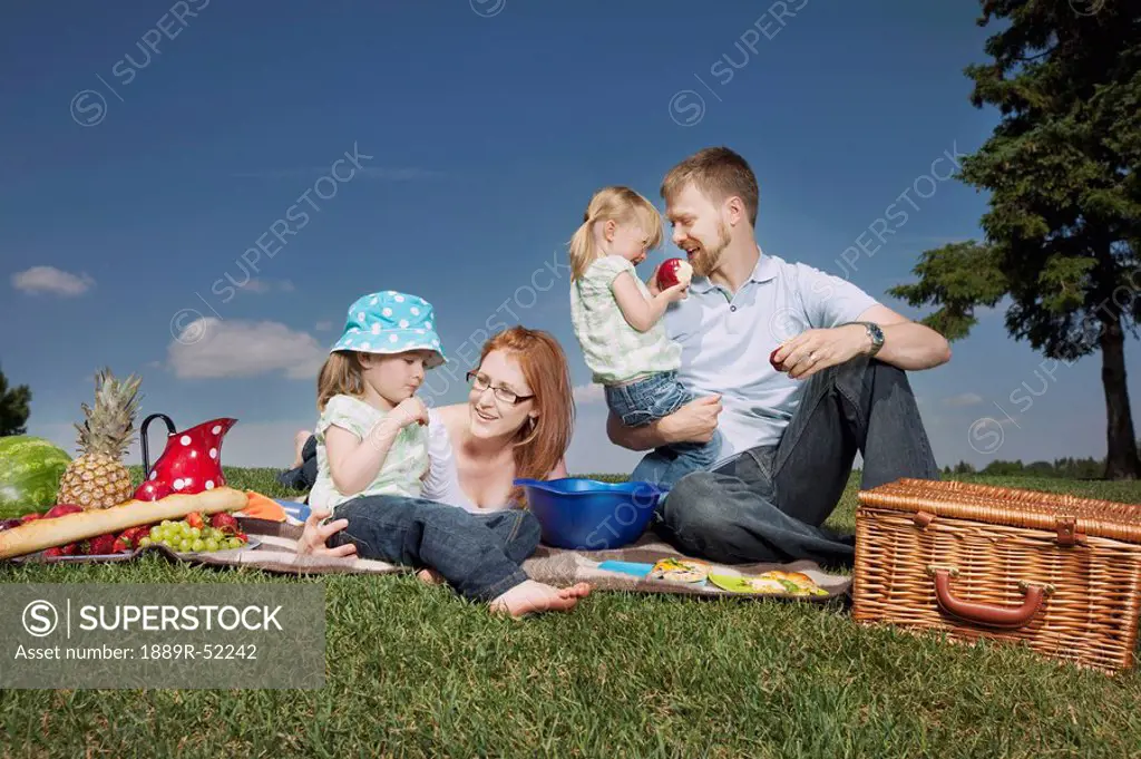 a family having a picnic