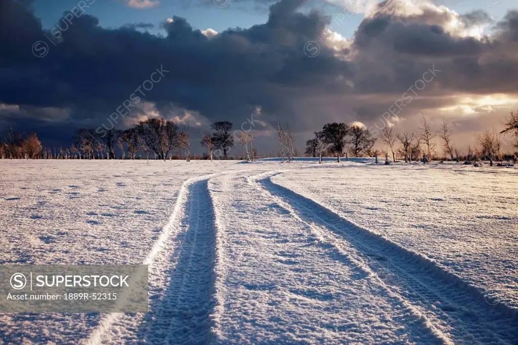 northumberland, england, tire tracks in the snow