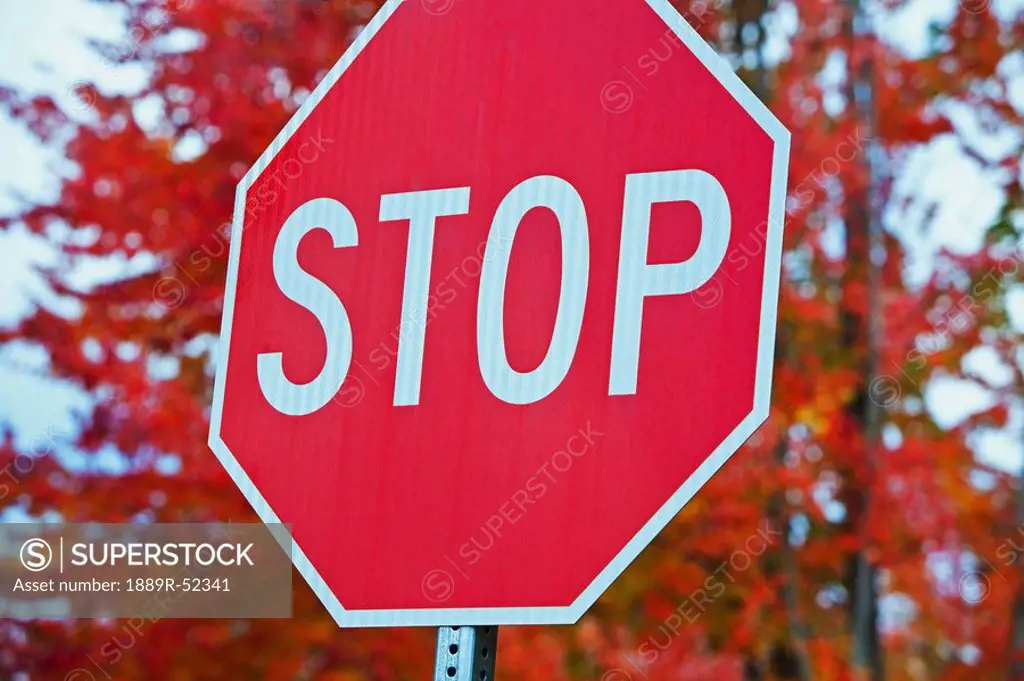 oregon, united states of america, a stop sign with trees in the background in autumn