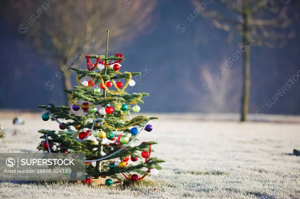 a outdoor tree decorated for christmas
