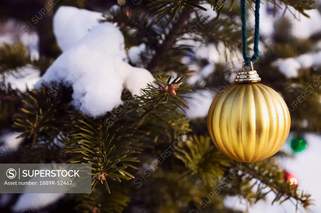 an ornament hanging from a tree covered in snow
