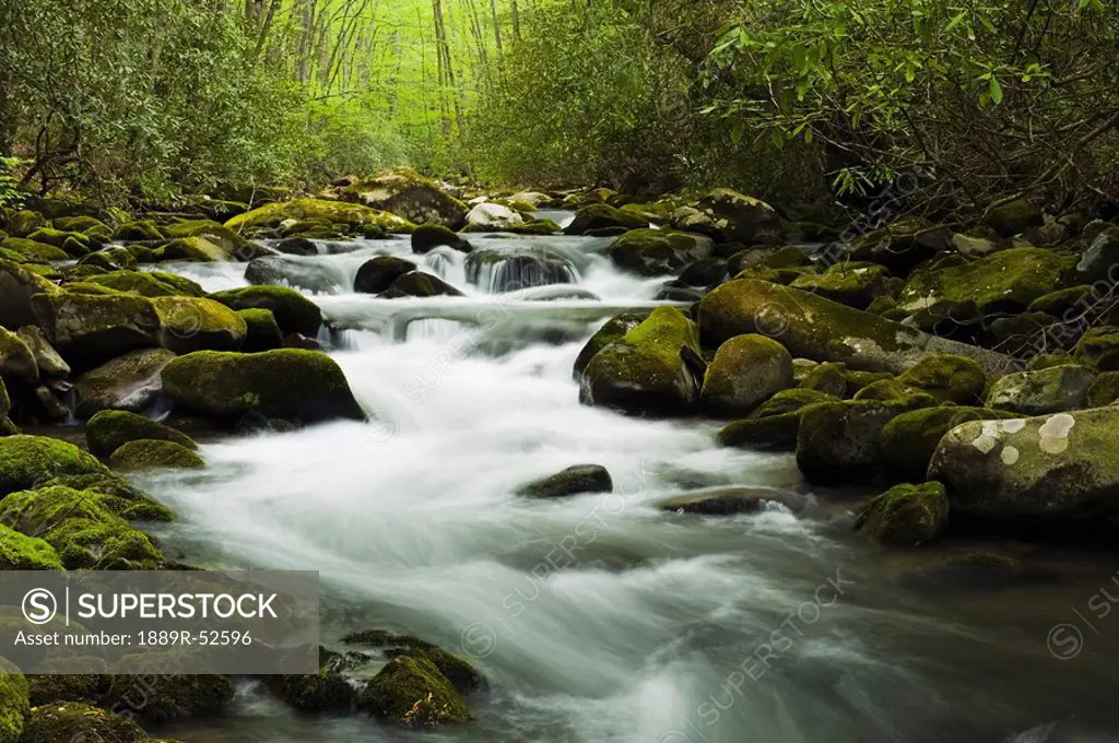 north carolina, united states of america, cascades in the oconaluftee river in the great smokey mountains national park