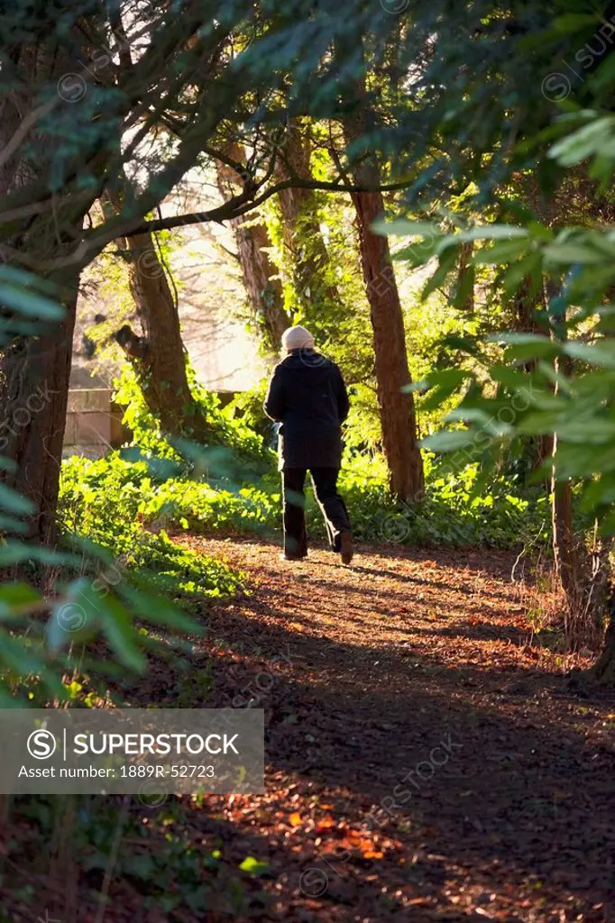 northumberland, england, a person walking down a path through the forest