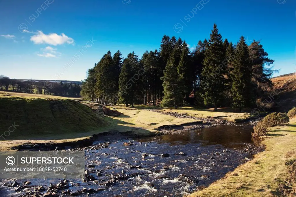hill end, county durham, england, a shallow, rocky river