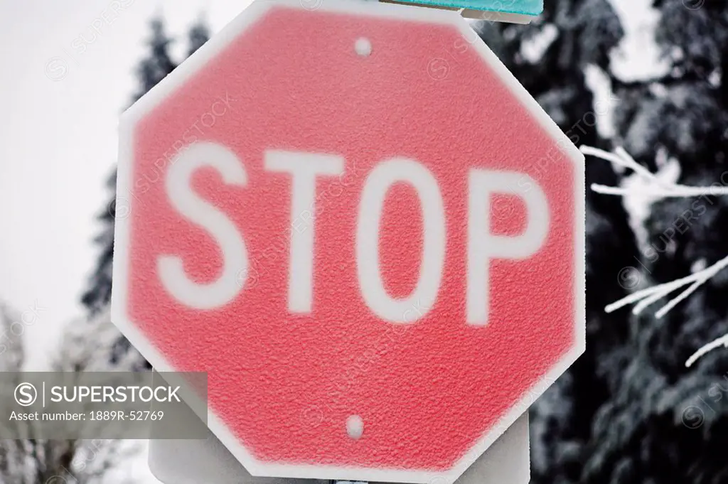 willamette valley, oregon, united states of america, a stop sign covered in ice from a heavy ice storm
