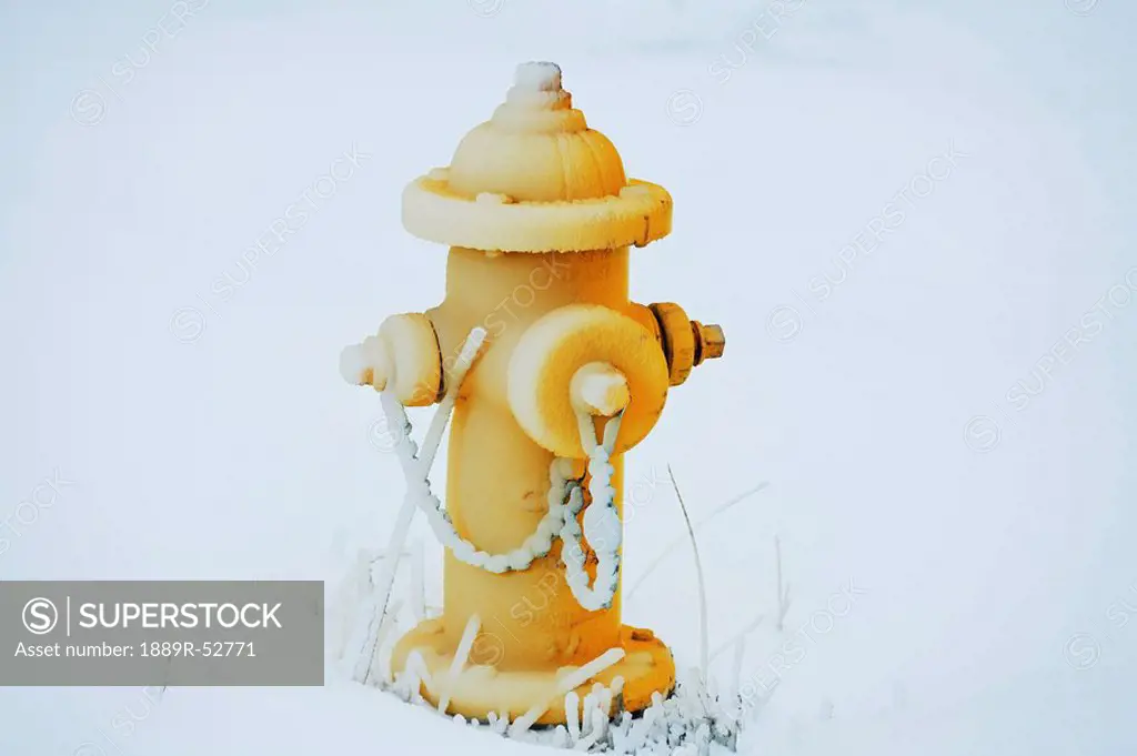 willamette valley, oregon, united states of america, a fire hydrant covered in ice from a heavy ice storm