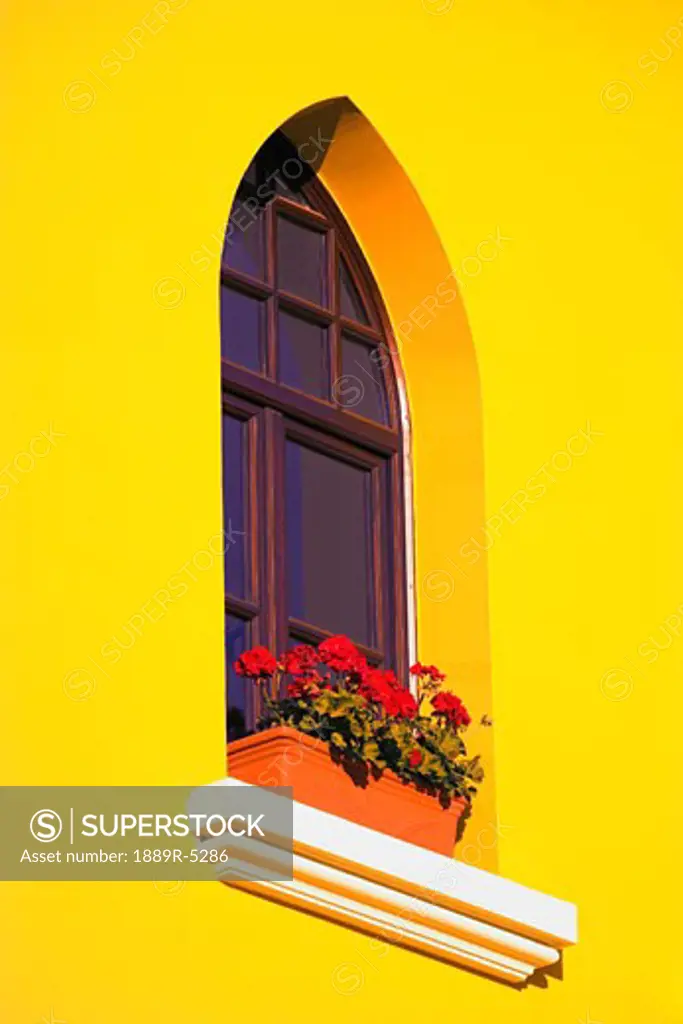 A window in a bright yellow wall