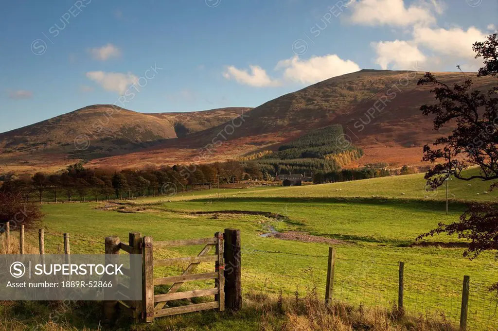northumberland, england, a fence along a field and hills