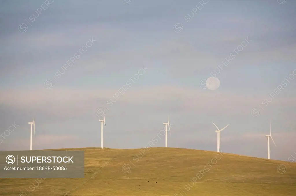 pincher creek, alberta, canada, wind turbines on a hillside with the moon in the sky