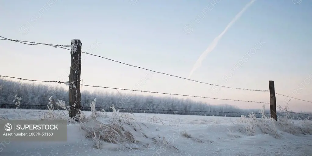 winnipeg, manitoba, canada, a barbed wire fence in the snow in winter
