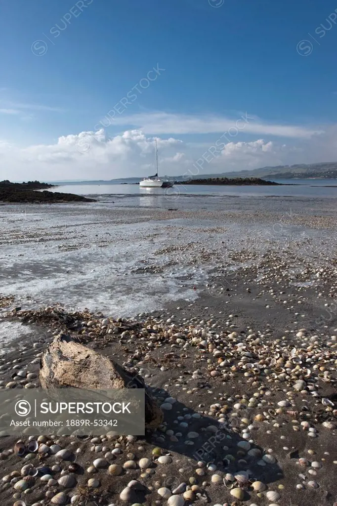 dumfries, scotland, rocks and driftwood on the shore with the tide