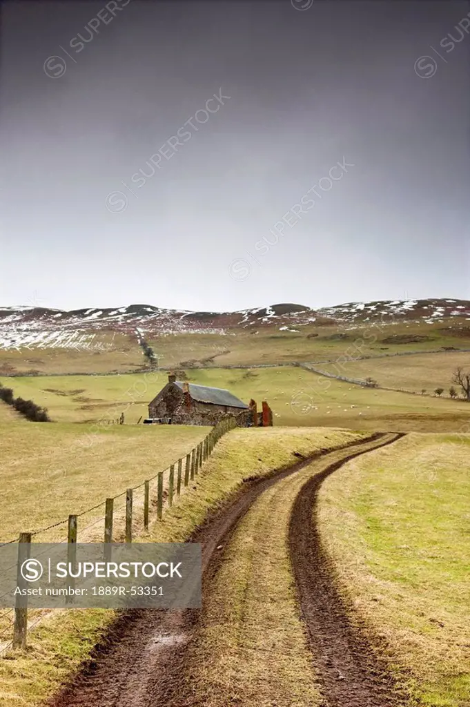 scottish borders, scotland, tire tracks forming a road along a fence with a house among the fields
