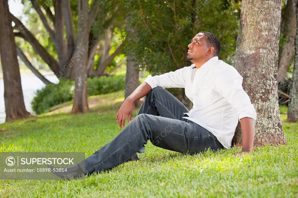 fort lauderdale, florida, united states of america, portrait of a man sitting against a tree in a park