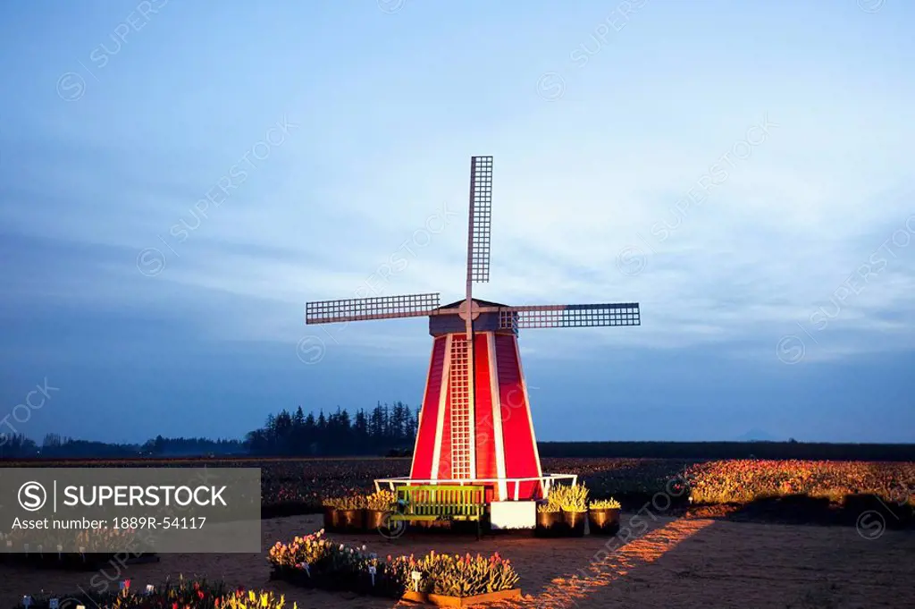 woodburn, oregon, united states of america, a windmill at the tulip fields