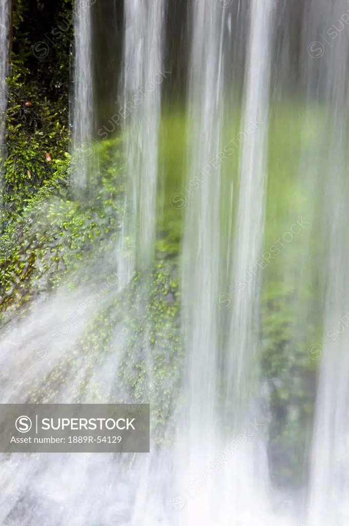portland, oregon, united states of america, waterfall at crystal springs garden