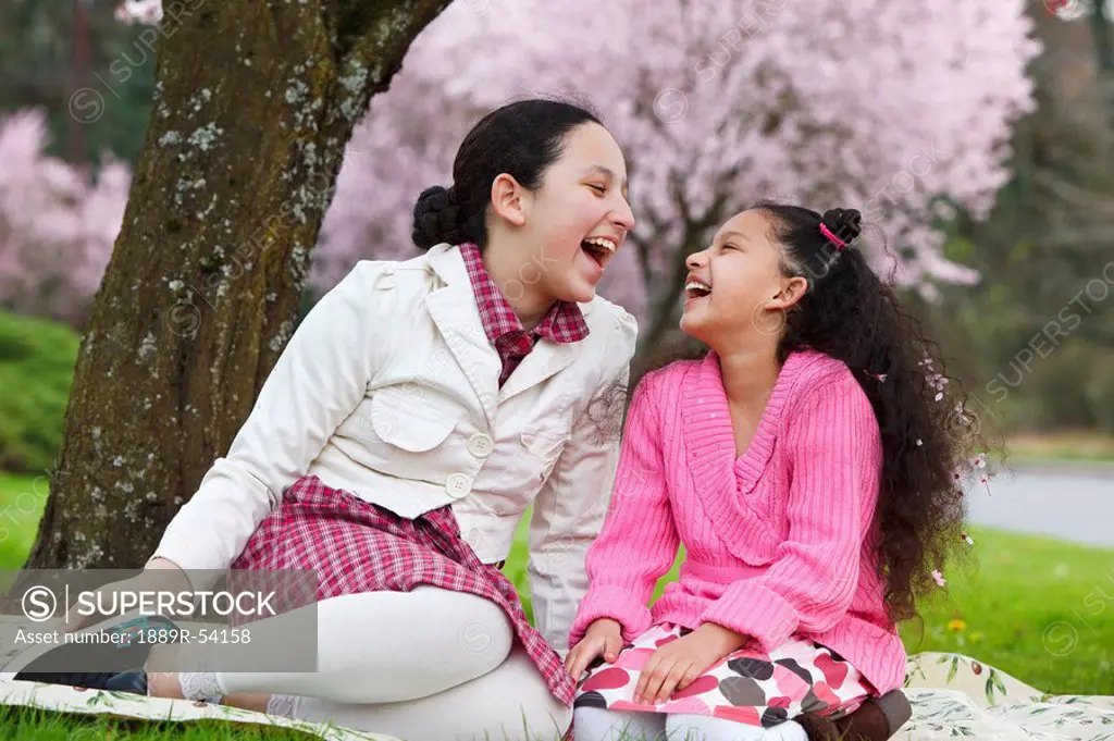 portland, oregon, united states of america, girls laughing under a cherry blossom tree