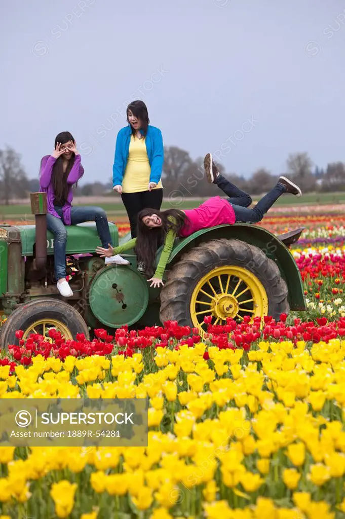 woodburn, oregon, united states of america, teenage girls playing on a tractor in a tulip field at the wooden shoe tulip farm