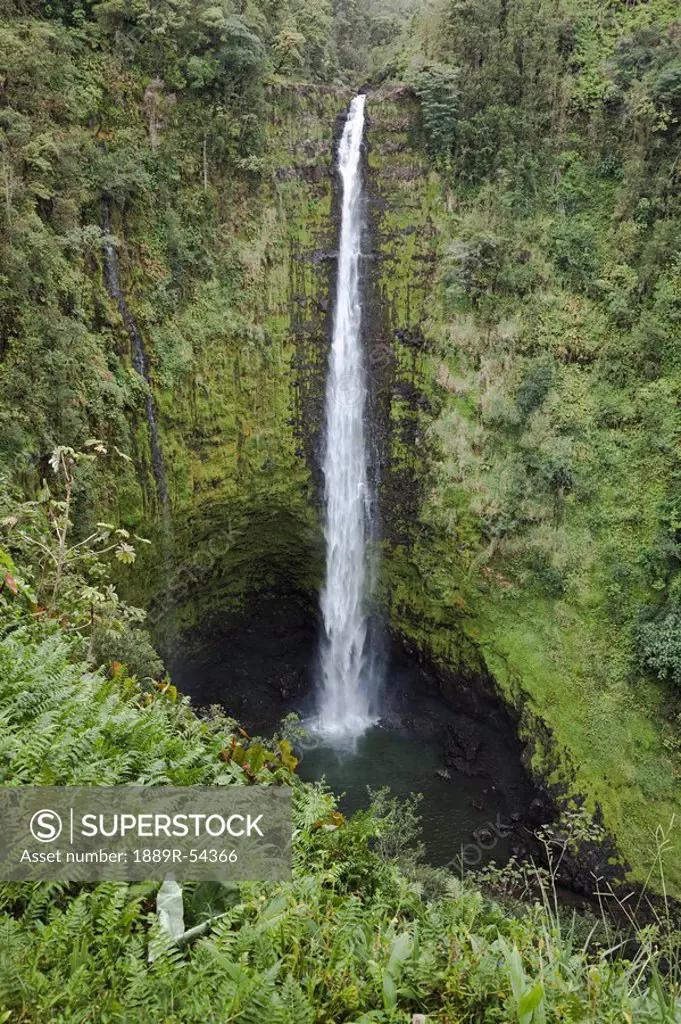 Hawaii, United States Of America, Akaka Falls With Cliffs And A Gorge Covered With Rainforest Plants