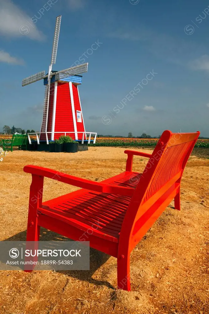 woodburn, oregon, united states of america, a windmill and bench at the tulip fields