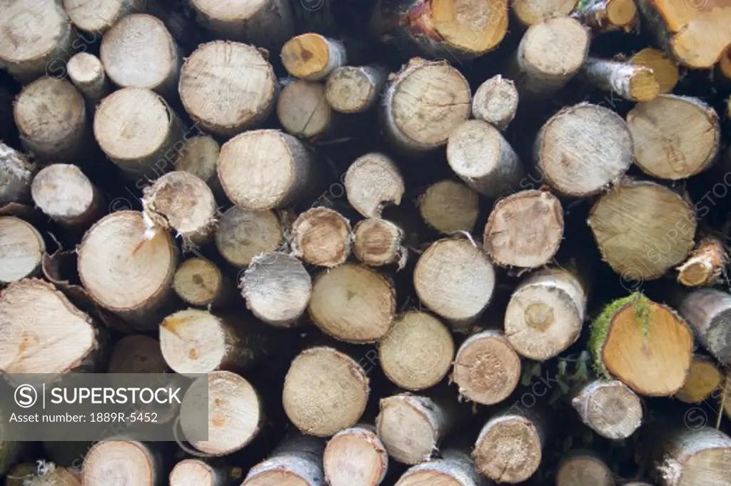 Closeup of pile of logs