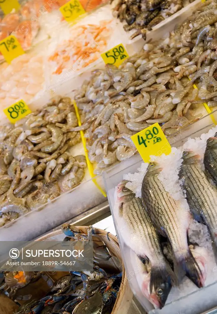 New York, New York, United States Of America, Seafood At A Street Market