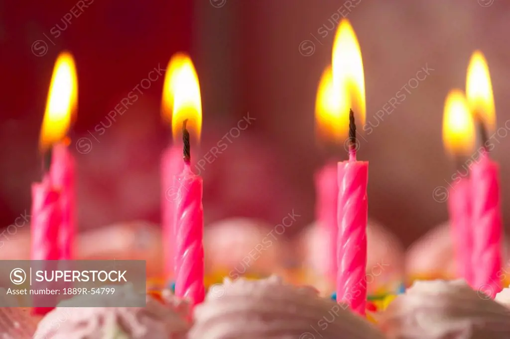 Knoxville, Tennessee, United States Of America, Candles Lit On A Birthday Cake
