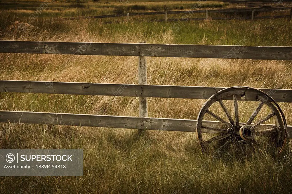 Alberta, Canada, A Wagon Wheel Leaning Against An Old Fence