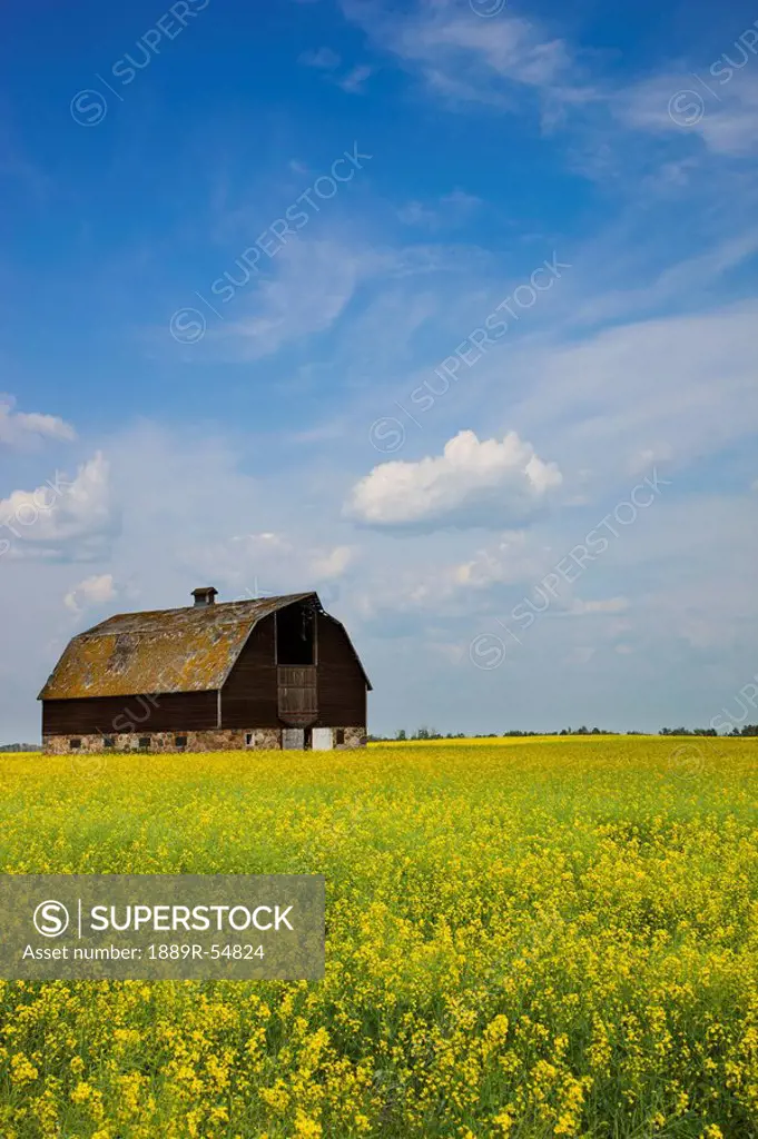 Alberta, Canada, An Old Barn In A Field