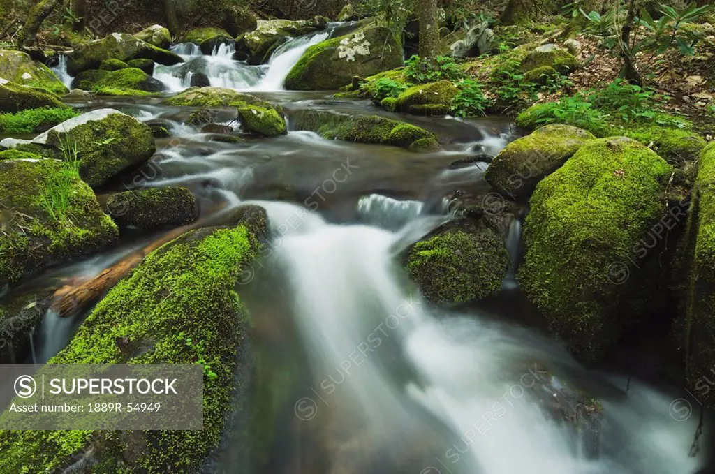 Tennessee, United States Of America, Moss Covered Rocks And Boulders In The Roaring Fork Of The Great Smoky Mountains National Park