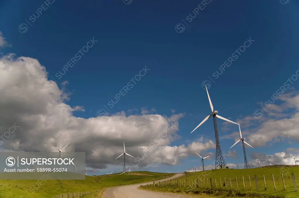 Palmerston North, New Zealand, Wind Turbines In A Field With A Road Going Through