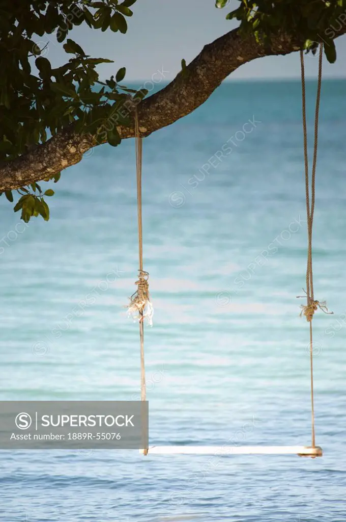 Koh Chang, Thailand, A Swing Hanging From A Tree Branch By The Water