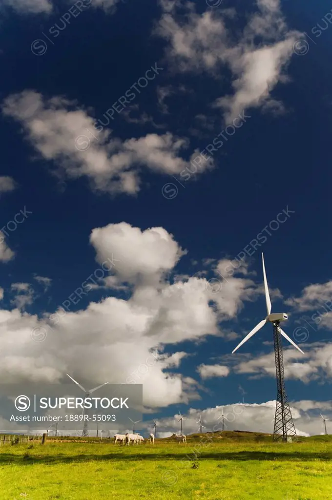 palmerston north, new zealand, wind turbines