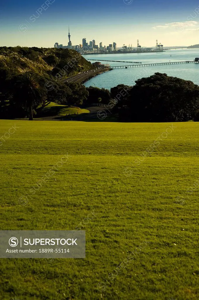 a field overlooking the shoreline of a lake with a view of the cityscape