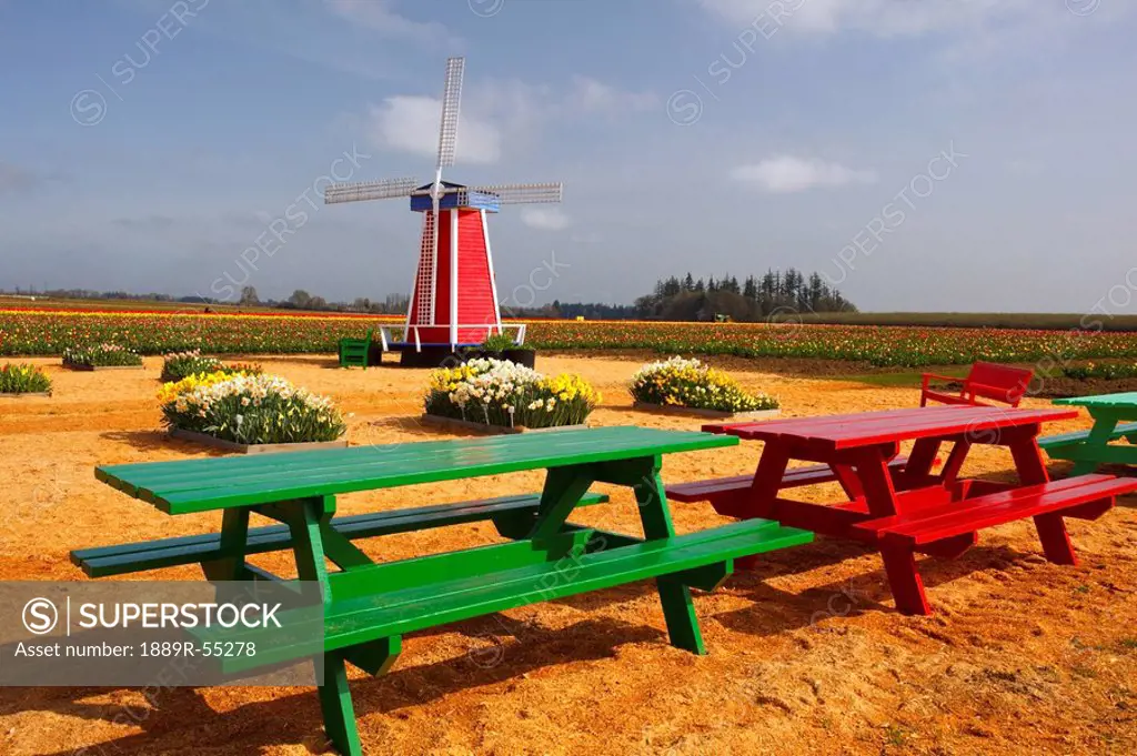 woodburn, oregon, united states of america, windmill and picnic tables with tulip fields in the background