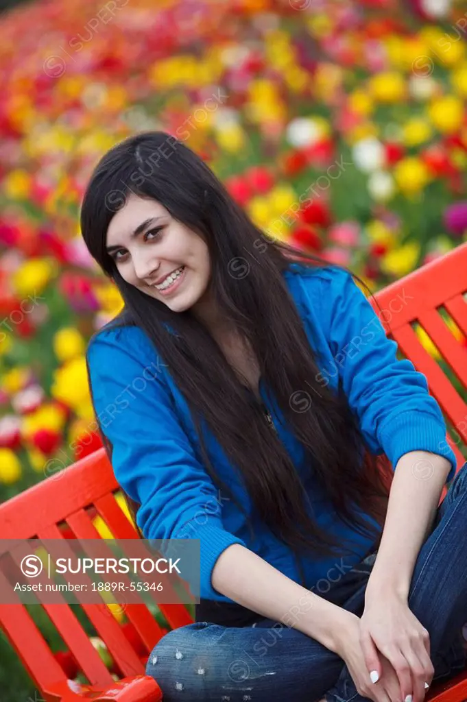 woodburn, oregon, united states of america, a girl on a bench at the wooden shoe tulip farm