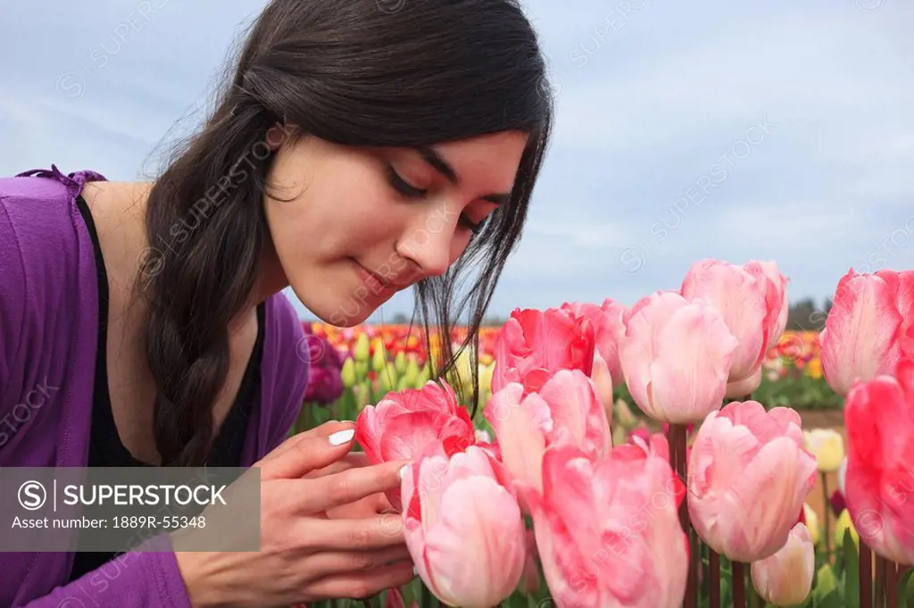 woodburn, oregon, united states of america, a girl looking closely at the tulips at the wooden shoe tulip farm