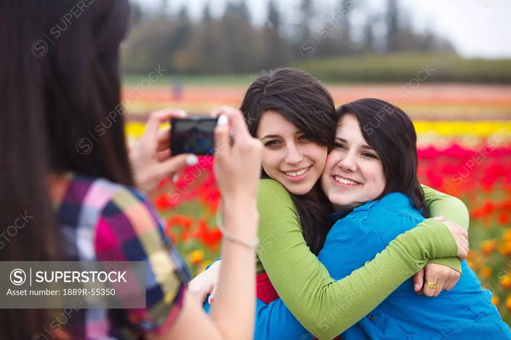 woodburn, oregon, united states of america, two girls hugging as another girl takes their picture at the wooden shoe tulip farm