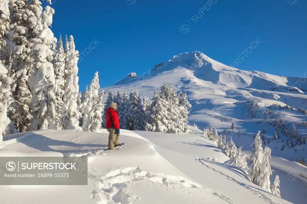 timberline, oregon, united states of america, a person snowshoeing in deep snow on mount hood