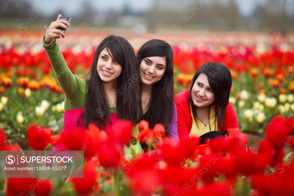 woodburn, oregon, united states of america, teenage girls playing in the tulip fields of wooden shoe tulip farm